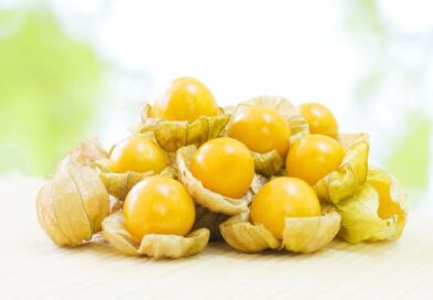Benefici per la salute delle bacche dorate