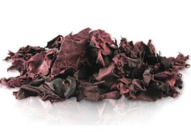 Benefici per la salute di dulse